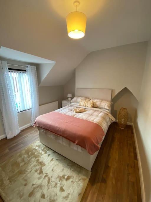The Cozy Homestay Belfast Kültér fotó