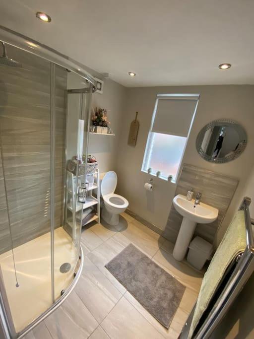 The Cozy Homestay Belfast Kültér fotó