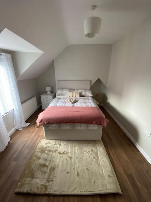 The Cozy Homestay Belfast Kültér fotó