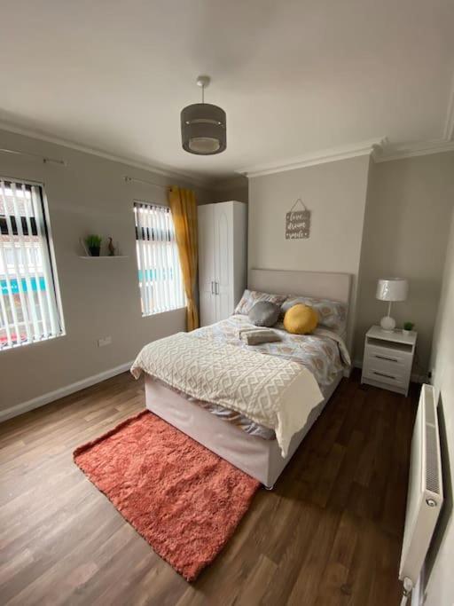 The Cozy Homestay Belfast Kültér fotó
